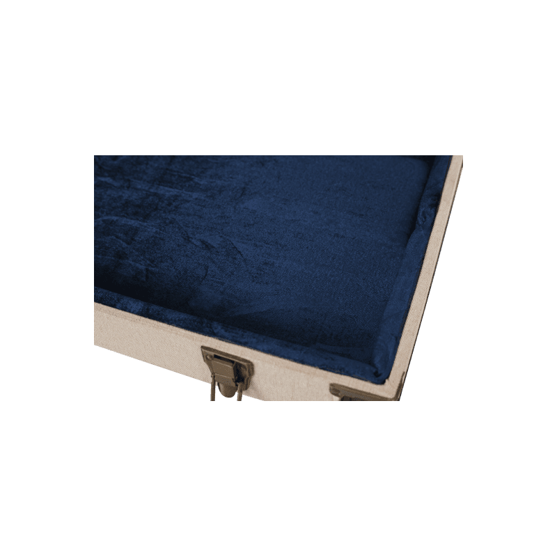 gator_hgagw-jm-bass-imagen-3