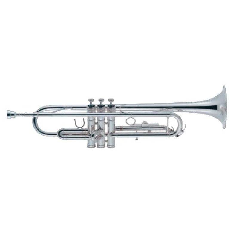 TR300