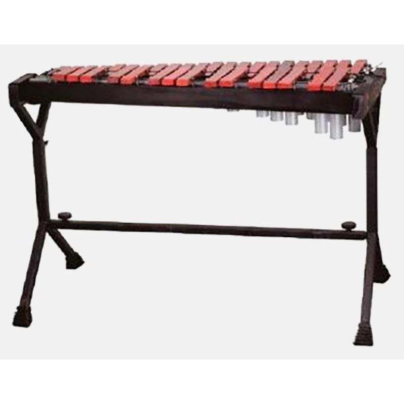 JBXP537M
