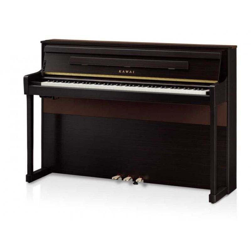 CA 901 Palisandro