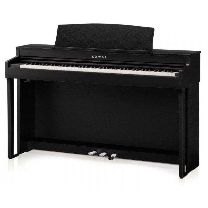 CN 301 B Negro