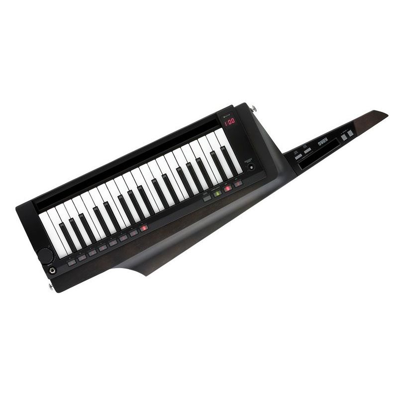 korg_rk-100s-2-bk-imagen-0