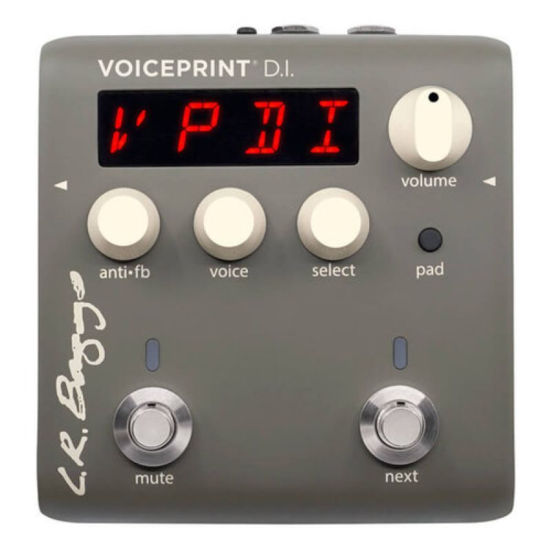 Voiceprint