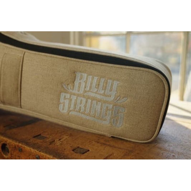 martin_dreadnought-d-x2e-billy-strings-imagen-2