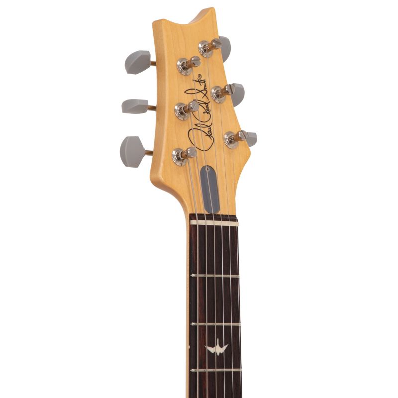 prs_silver-sky-polar-blue-imagen-2