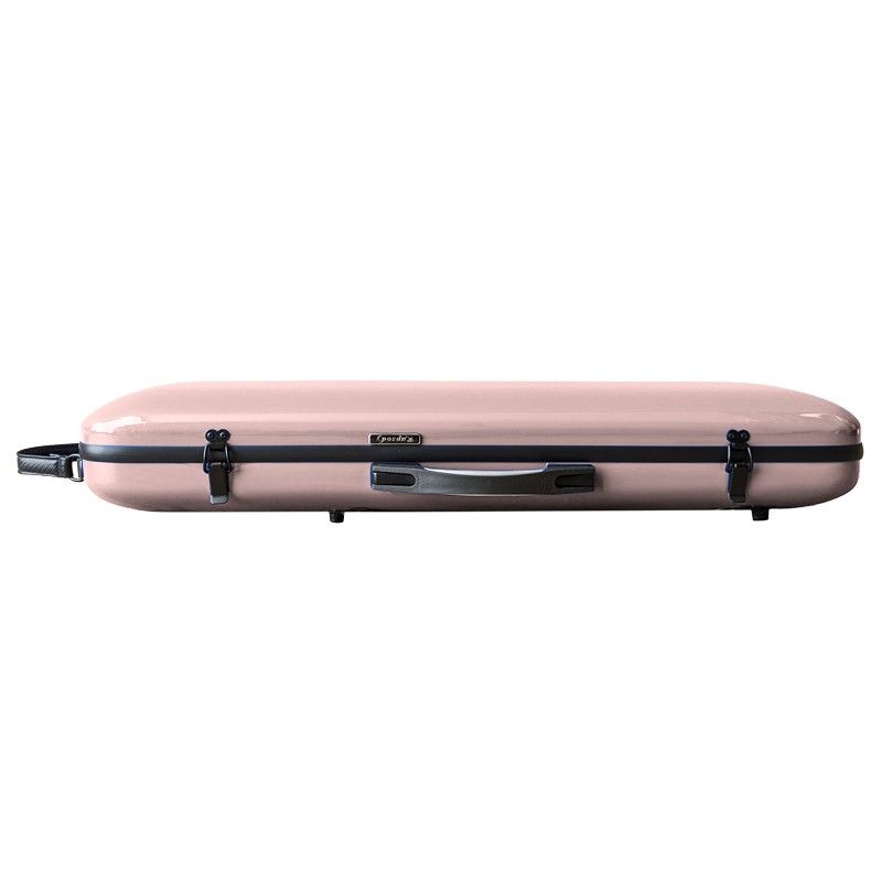 rapsody_estuche-de-violin-rectangular-rainbow-4-45-imagen-2