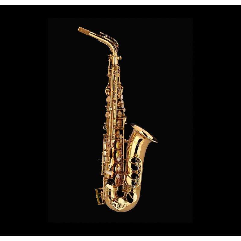 A-900L