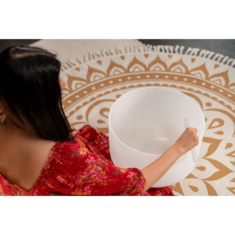 sonic-energy_csb16c3-imagen-2