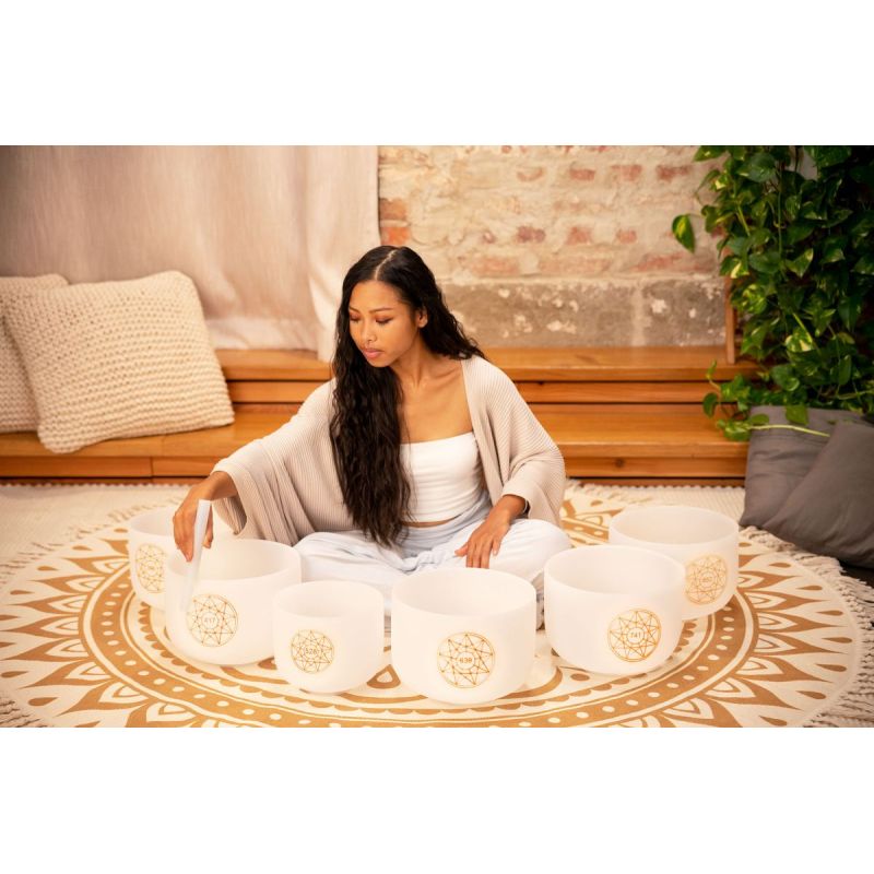 sonic-energy_solcsbset-imagen-1