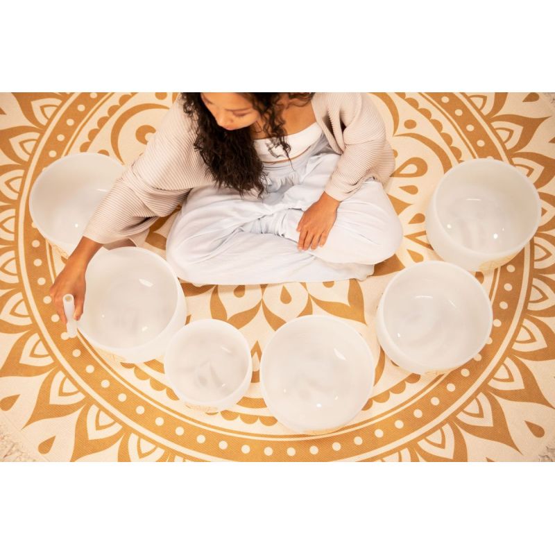 sonic-energy_solcsbset-imagen-3