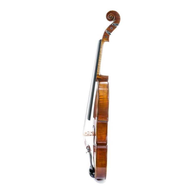 stentor_violin-master-4-4-imagen-2