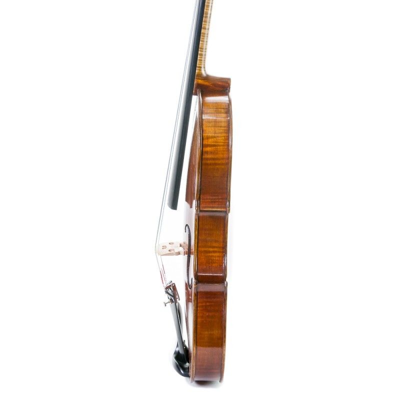 stentor_violin-master-4-4-imagen-3