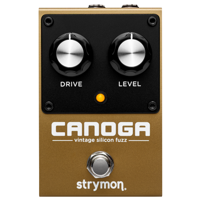 strymon_canoga-imagen-1