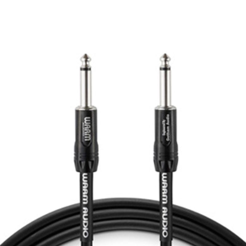 warm-audio_pro-ts-10-imagen-0