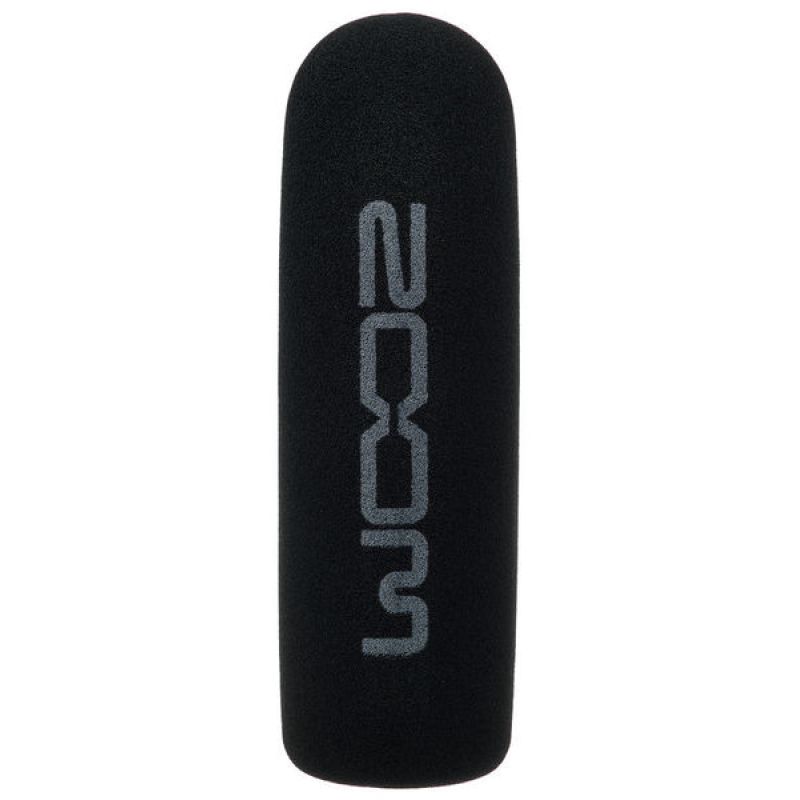zoom_wss-6-imagen-2